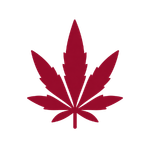 Icon für BtMG und Drogenstrafrecht